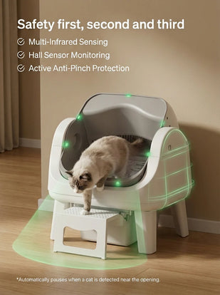 Advanced Safety System
